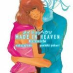 Manga, Josei, Made in Heaven