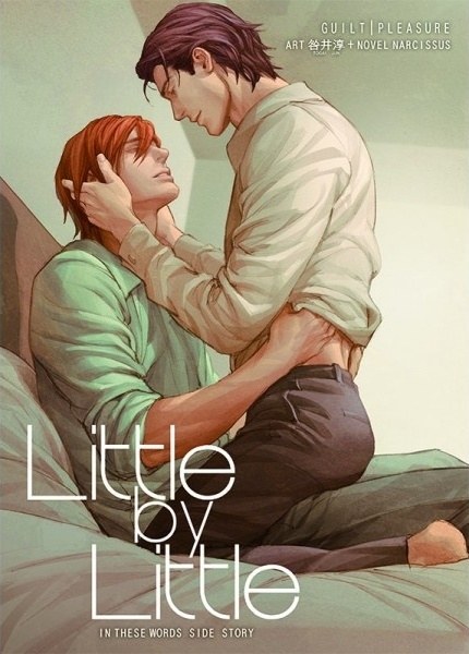Manga, Dôjinshi, Little by Little - In these words