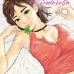 Manga, Seinen, Clover Cinderella