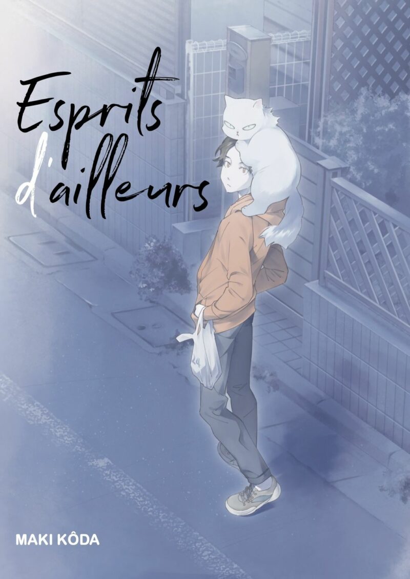 Manga, Josei, Esprit d'ailleurs