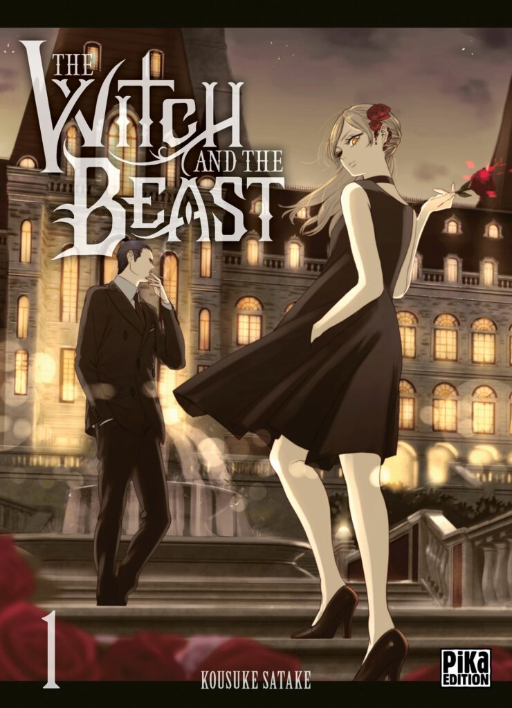 Manga, Seinen, the witch and the beast